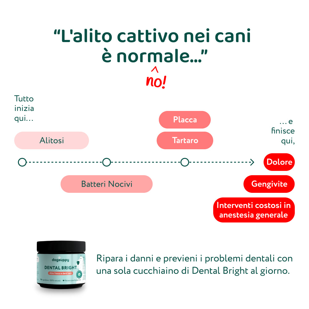 Dental Bright 🌿 | Polvere 100% Naturale | 60 dosi