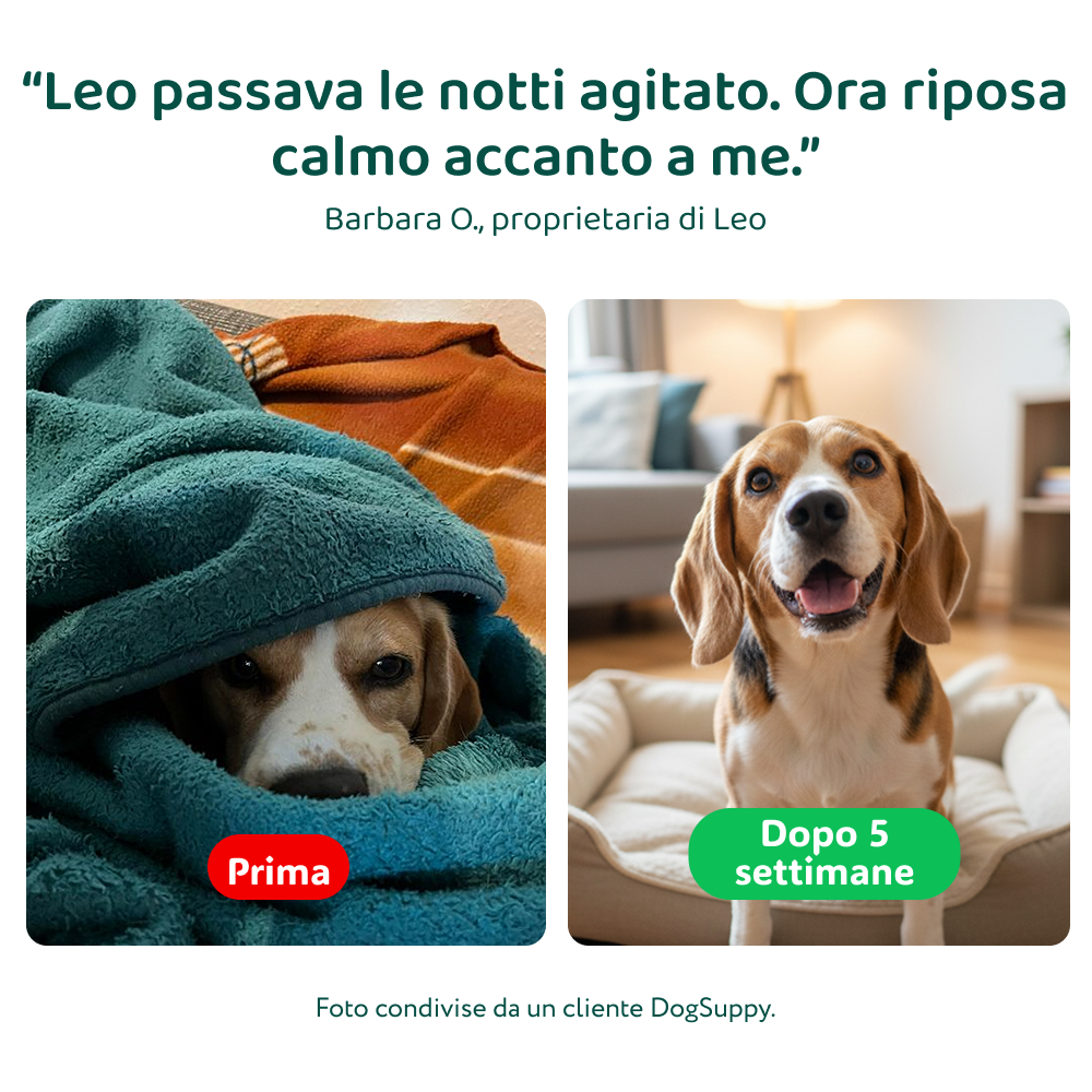 Ansia & Stress | 100% Naturale | 60 integratori