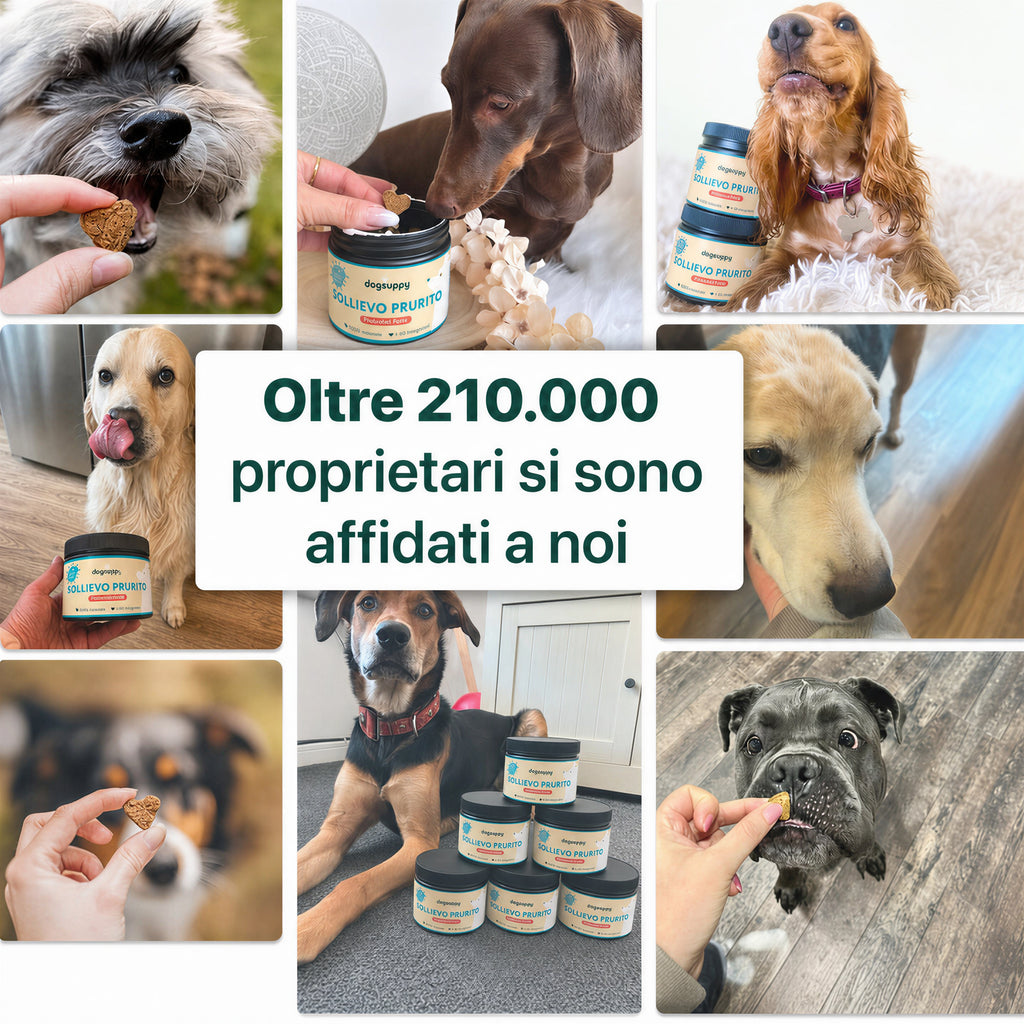 Sollievo Prurito | 100% Naturale | 60 integratori