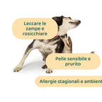 Bundle Risparmio:  Denti & Prurito