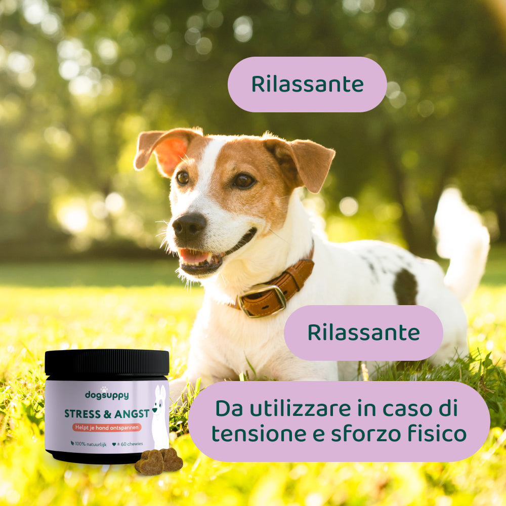 Bundle Risparmio: Denti & stress