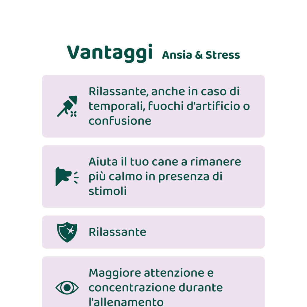 Bundle Risparmio: Denti & stress