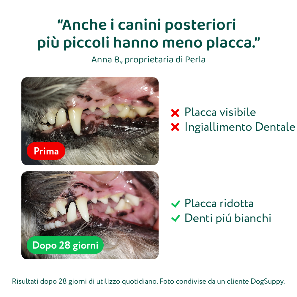 Dental Bright 🌿 | Polvere 100% Naturale | 60 dosi