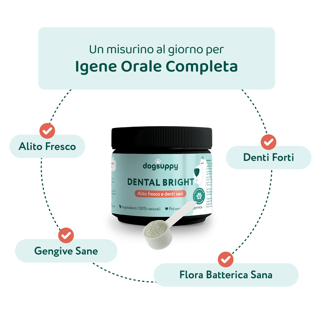 Dental Bright 🌿 | Polvere 100% Naturale | 60 dosi