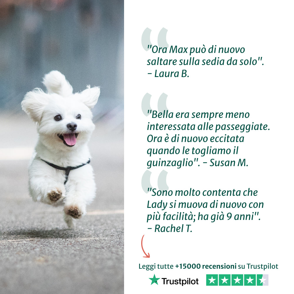 Ossa & Articolazioni🌿 | 100% Naturale | 60 integratori