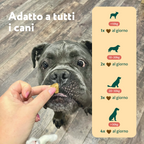 Sollievo Prurito🌿 | 100% Naturale | 60 integratori