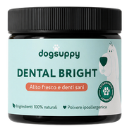 Dental Bright